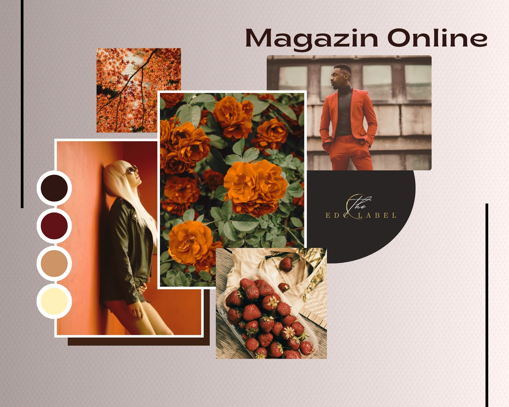 Creare Magazin Online Personalizat | EDC Label - Soluții Unice, Fără Compromisuri